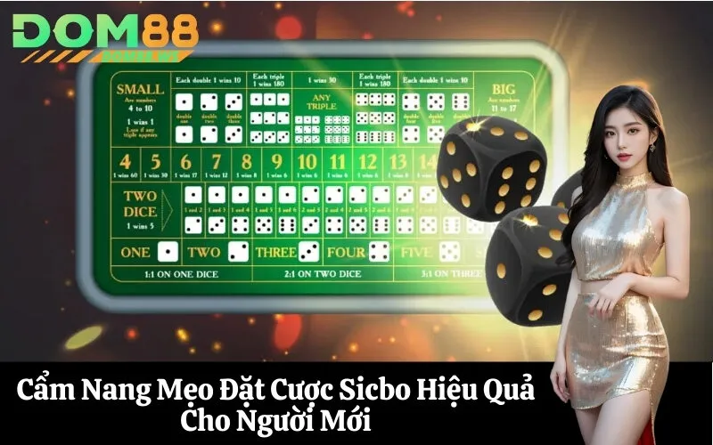 Cẩm Nang Mẹo Đặt Cược Sicbo Hiệu Quả Cho Người Mới