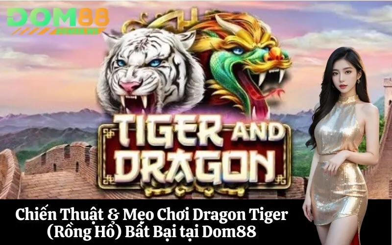 Chiến Thuật & Mẹo Chơi Dragon Tiger (Rồng Hổ) Bất Bại tại Dom88