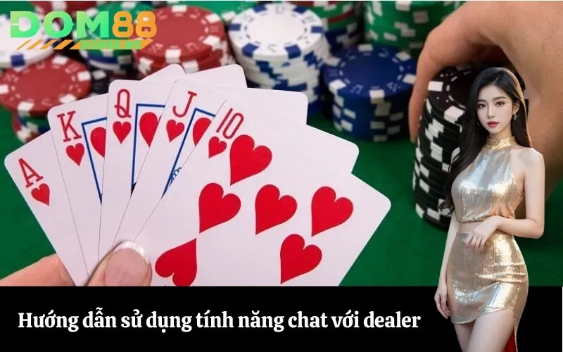 Hướng dẫn sử dụng tính năng chat với dealer