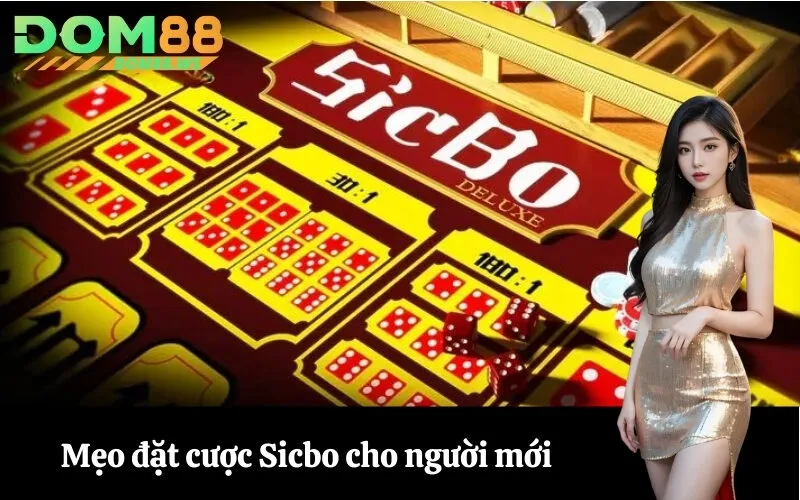 Mẹo đặt cược Sicbo cho người mới