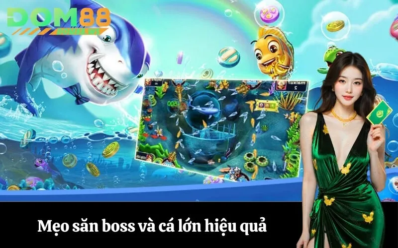Mẹo săn boss và cá lớn hiệu quả