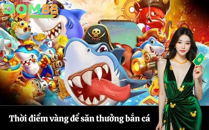 Thời điểm vàng để săn thưởng bắn cá