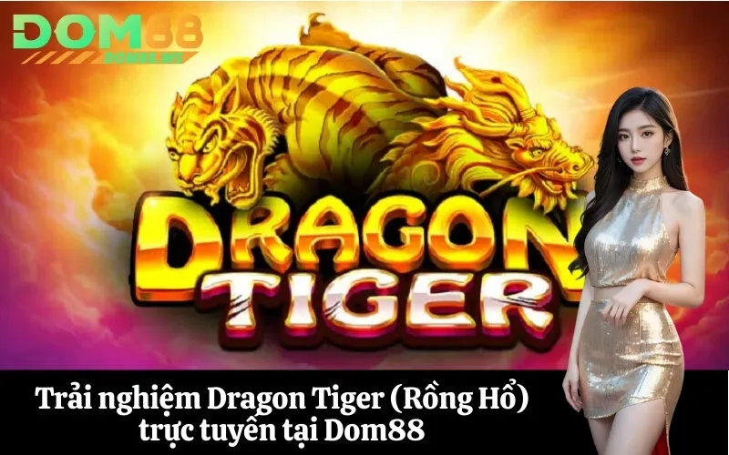 Trải nghiệm Dragon Tiger (Rồng Hổ) trực tuyến tại Dom88