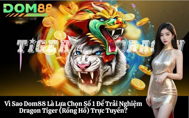 Vì Sao Dom88 Là Lựa Chọn Số 1 Để Trải Nghiệm Dragon Tiger (Rồng Hổ) Trực Tuyến